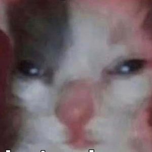 Meet your Posher, Colin